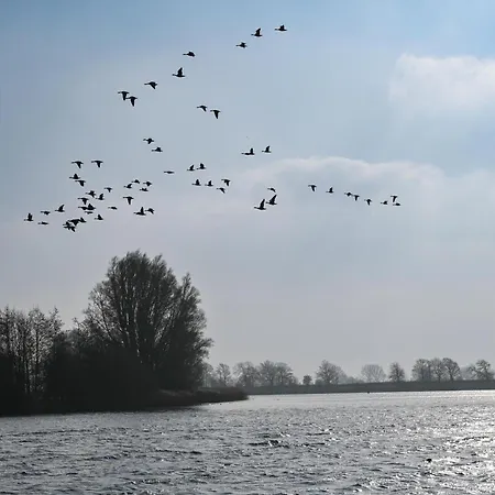 - Hausboot 2 Prázdninový dům Suderstapel