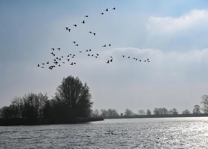 - Hausboot 2 Vakantiehuis Suderstapel